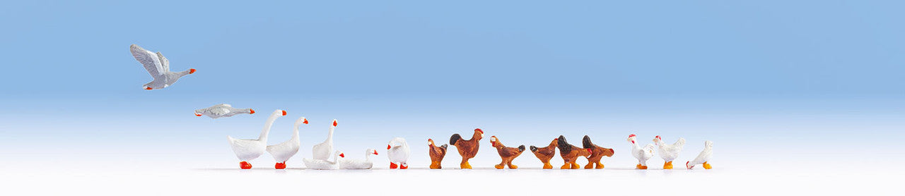 HO Chickens and Geese
