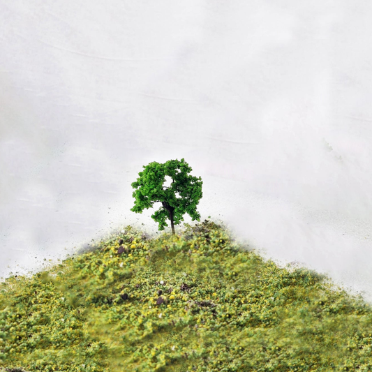 Deciduous Trees 2.75" 6 Pc.