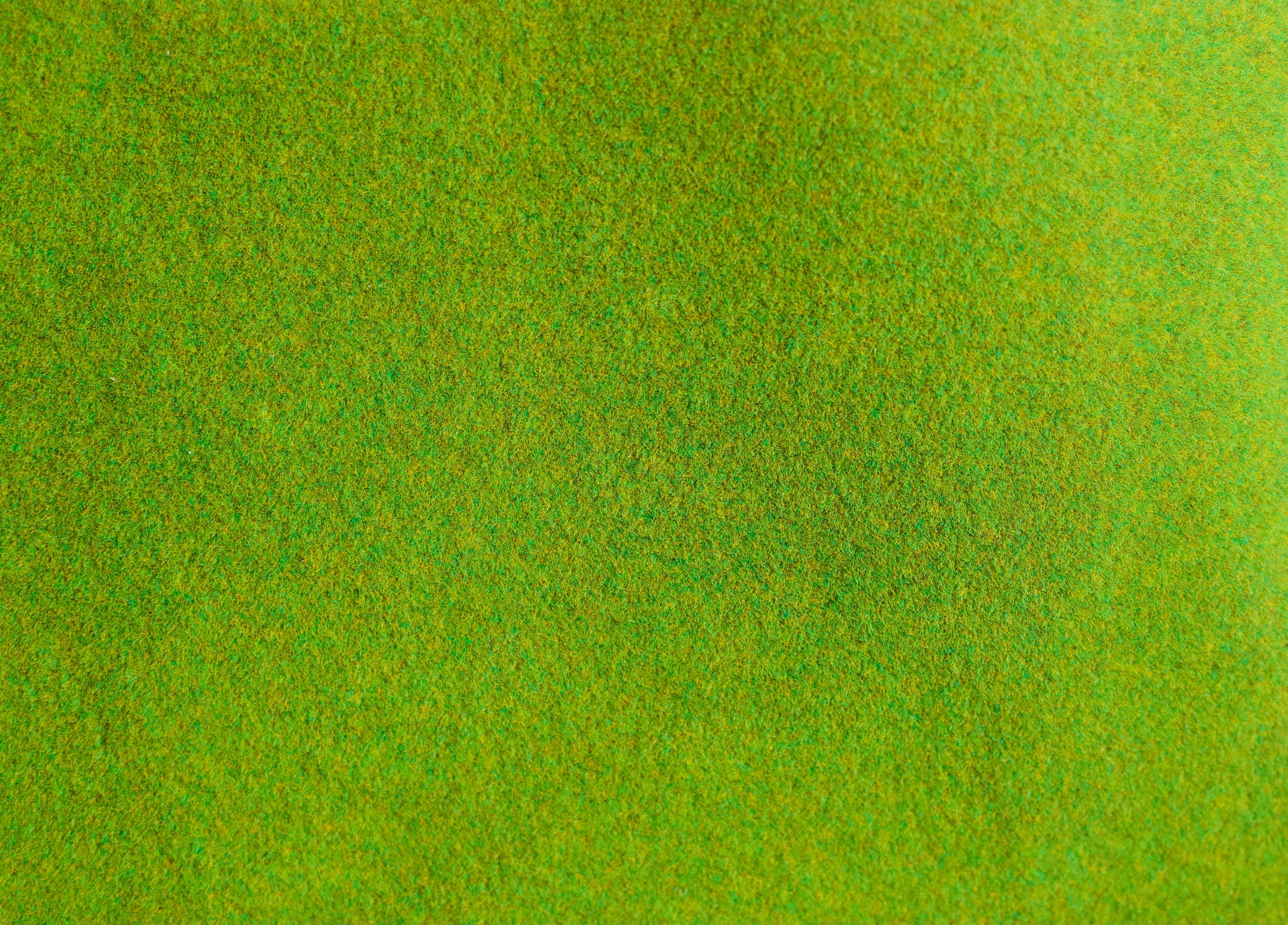 Summer green grass large with variety of grass color