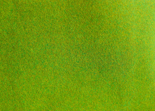 Summer green grass large with variety of grass color